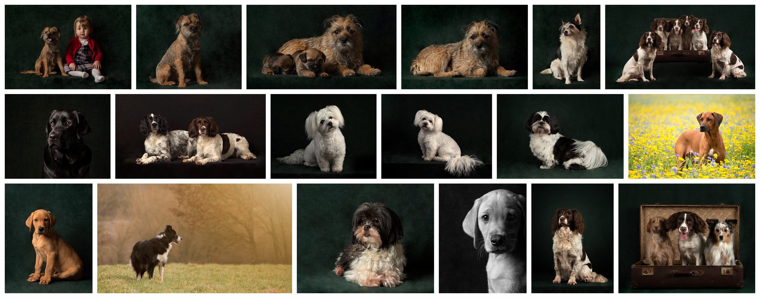 Photographers-Bar-Awarded-Images