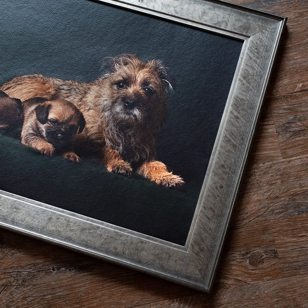 Fine-Art-Frame