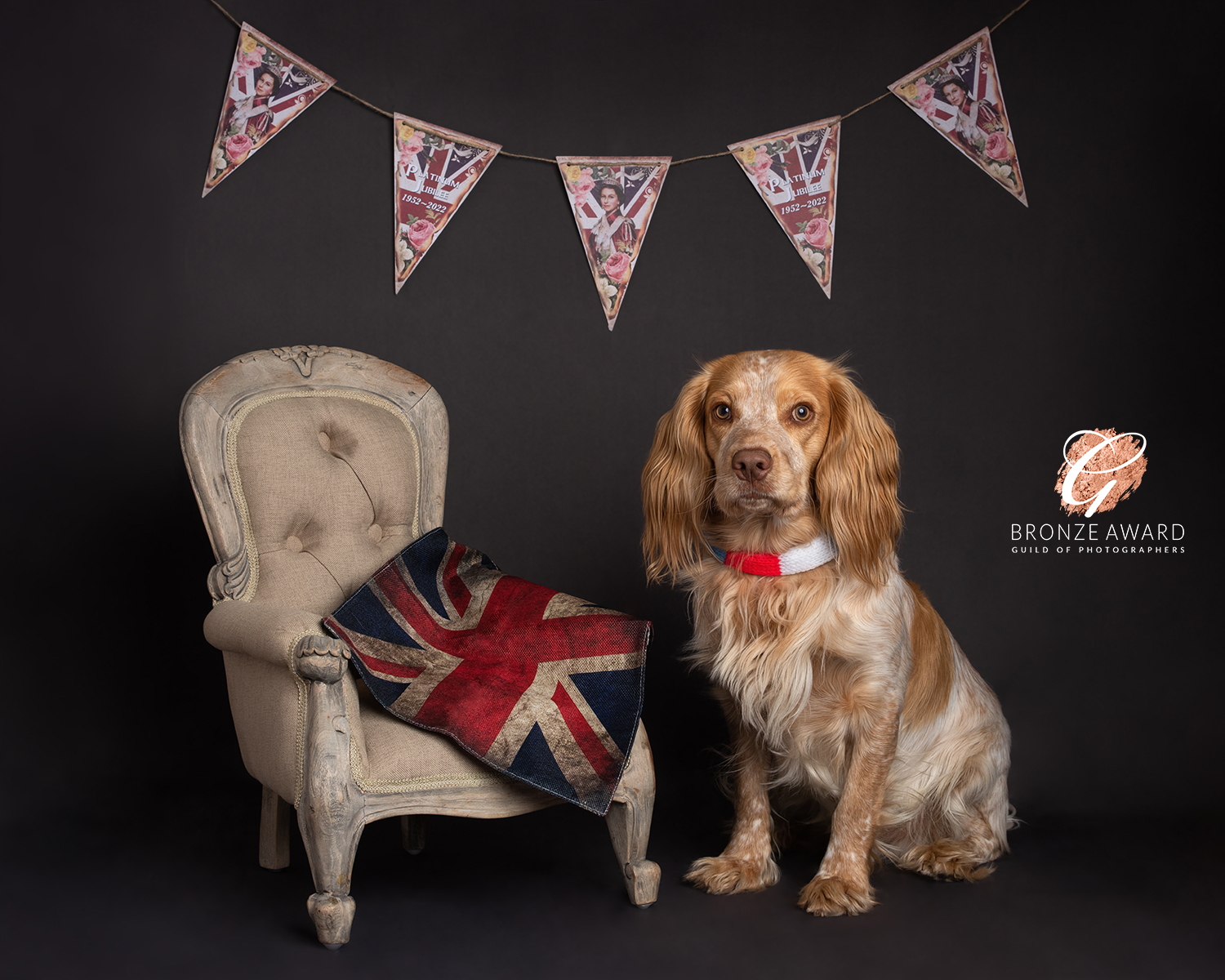 cocker-spaniel-platinum-jubilee-BRONZE